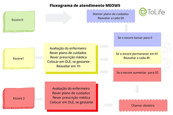 Fluxograma de atendimento detecção precoce Meows